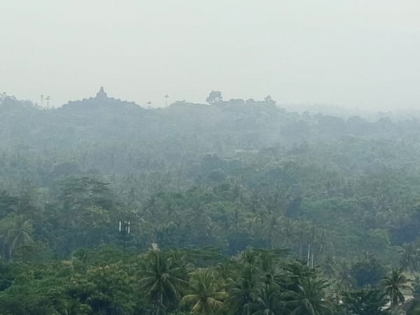 Harapan Hijau untuk Tahun Baru yang Hebat!